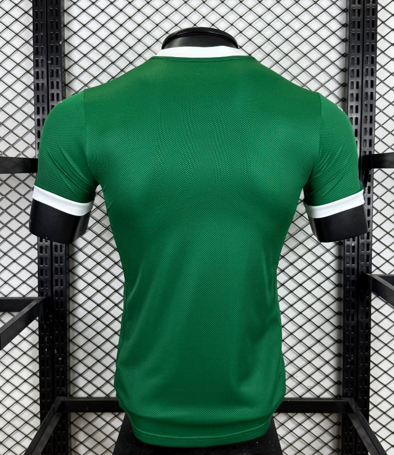 Palmeiras 25/26 home